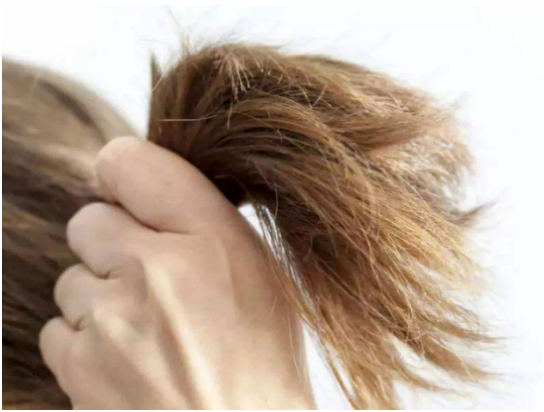 9602c3b8d7bc4b8c5a15c2e4fae8db9 9602c3b8d7bc4b8c5a15c2e4fae8db9